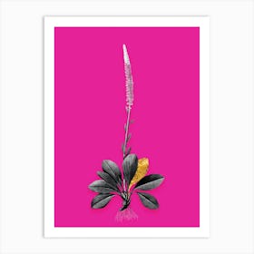 Vintage Blazing Star Black and White Gold Leaf Floral Art on Hot Pink n.0148 Art Print
