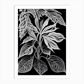Siberian Ginseng Leaf Linocut 2 Art Print
