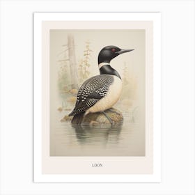 Vintage Bird Drawing Loon 2 Poster Art Print