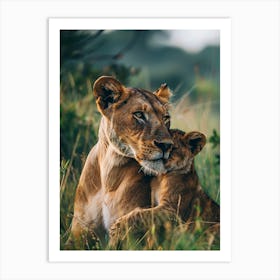 Lion Cub Art Print