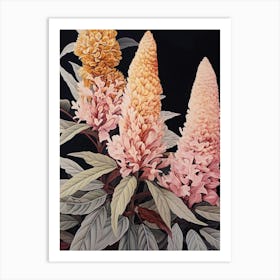 Flower Illustration Celosia 3 Art Print