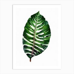 Hart S Tongue Fern Watercolour Art Print