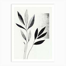 Black And White Leaves 1 Art Print