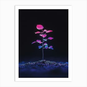 Plant In The Dark 14 Art Print