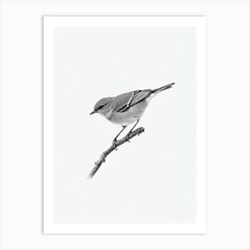 Eastern Bluebird B&W Pencil Drawing 2 Bird Art Print