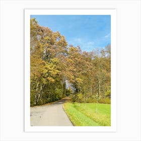 Country Road In Autumn Art Print