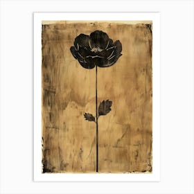 Black Poppy Canvas Print Art Print