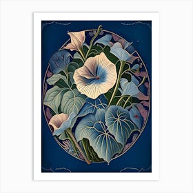 Morning Glory 1 Loral Botanical Vintage Poster Flower Art Print