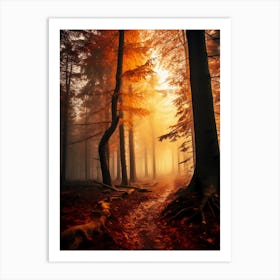 Autumn Forest 1 Art Print