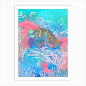 Mandarinfish Art Print