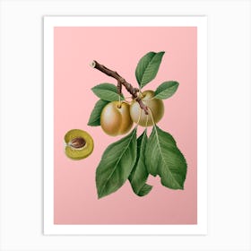 Vintage Prune Botanical on Soft Pink n.0090 Art Print