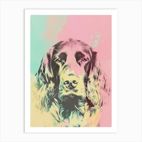 Boykin Spaniel Dog Pastel Line Watercolour Illustration  1 Art Print
