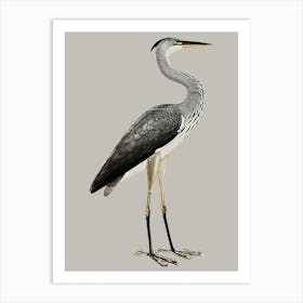 Gray Blue Heron Olof Rudbeck Art Print