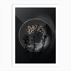 Shadowy Vintage Lily of the Incas Botanical in Black and Gold n.0096 Art Print