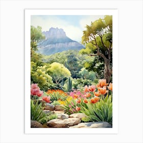 Kirstenbosch Botanical Garden South Africa Watercolour 1 Art Print