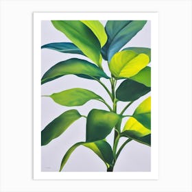 Split Leaf Philodendron Bold Graphic Plant Art Print