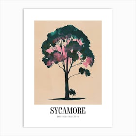 Sycamore Tree Colourful Illustration 1 Poster Art Print