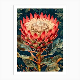 Protea Art Print