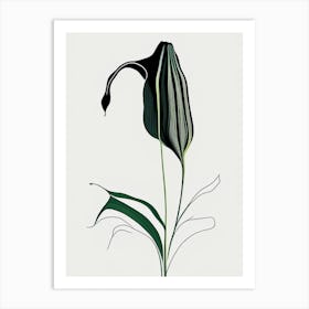 Jack In The Pulpit Floral Minimal Line Drawing 1 Flower Art Print