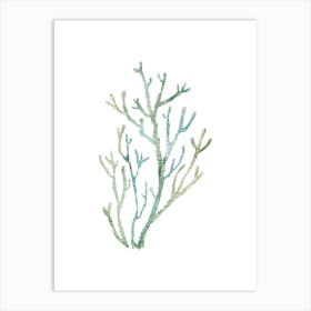 Watercolor Coral Branch Art Print