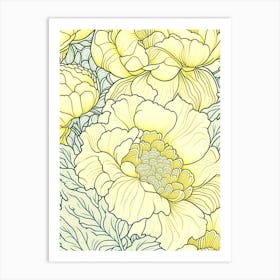 Close Up Of Peonies Yellow 2 Drawing Art Print