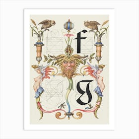 Guide For Constructing The Letters F And G From Mira Calligraphiae Monumenta, Joris Hoefnagel Art Print