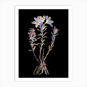 Stained Glass Lily of the Incas Mosaic Botanical Illustration on Black n.0345 Art Print