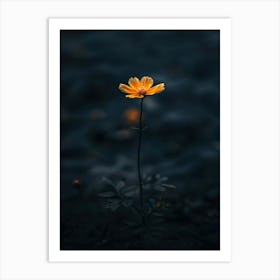 Single Flower In Water 1 Art Print