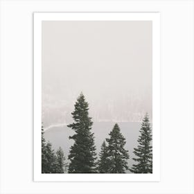 Snowy Winter Storm Art Print