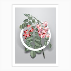 Vintage Robinier Rose Bloom Minimalist Flower Geometric Circle on Soft Gray n.0426 Art Print