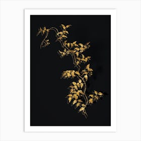 Vintage Bridal Creeper Botanical in Gold on Black n.0111 Art Print