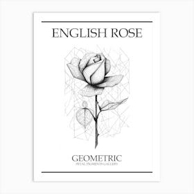 English Rose Geometric Line Drawing 2 Poster Art Print