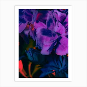 Purple Flowers 3 Art Print