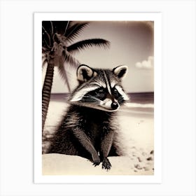 Raccoon On Beach Vintage Photography Art Print
