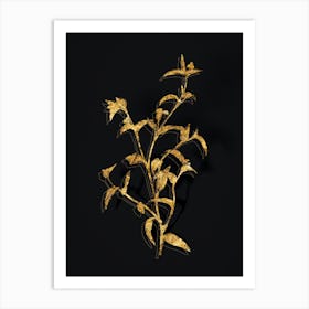 Vintage Commelina Africana Botanical in Gold on Black n.0475 Art Print