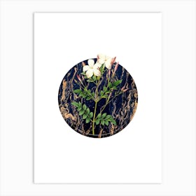 Vintage Spanish Jasmine Botanical in Gilded Marble on Clean White n.0017 Art Print