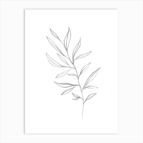 Drawing A Palm Leaf Art Print