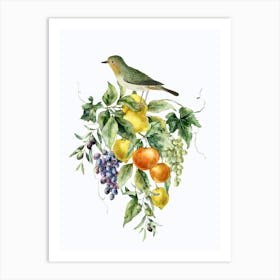 Bird On A Branch Art Print