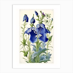 Bellflower 2 Floral Botanical Vintage Poster Flower Art Print