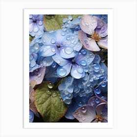 Hydrangeas Art Print