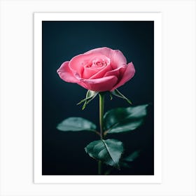 Pink Rose On Black Background 45 Art Print