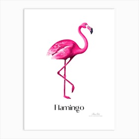 Flamingo. Long, thin legs. Pink or bright red color. Black feathers on the tips of its wings.3 Art Print