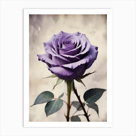 Purple Rose Art Print