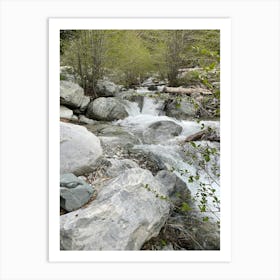 Stream In The Woods 2 Art Print