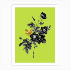 Vintage Alpine Rose Black and White Gold Leaf Floral Art on Chartreuse n.0824 Art Print