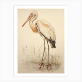 Vintage Bird Drawing Stork 3 Art Print
