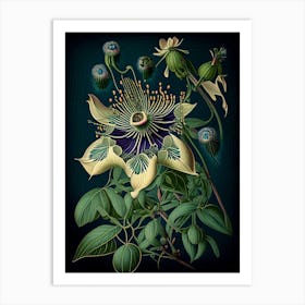 Passion Flower 1 Floral Botanical Vintage Poster Flower Art Print