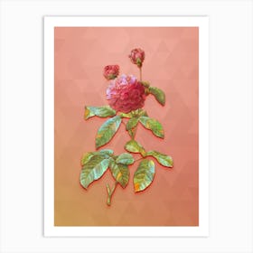 Vintage Agatha Rose In Bloom Botanical Art on Peach Pink Art Print