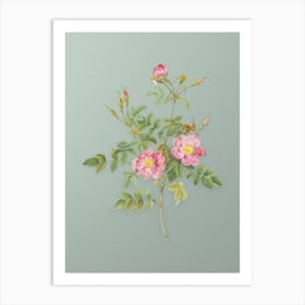 Vintage Pink Rosebush Bloom Botanical Art on Mint Green n.0265 Art Print