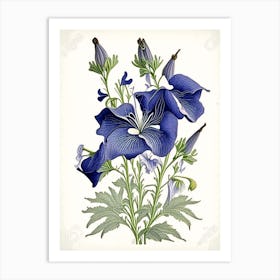 Bellflower 1 Floral Botanical Vintage Poster Flower Art Print